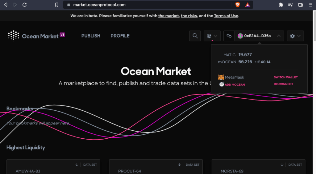 Connect metamask to Ocean Market